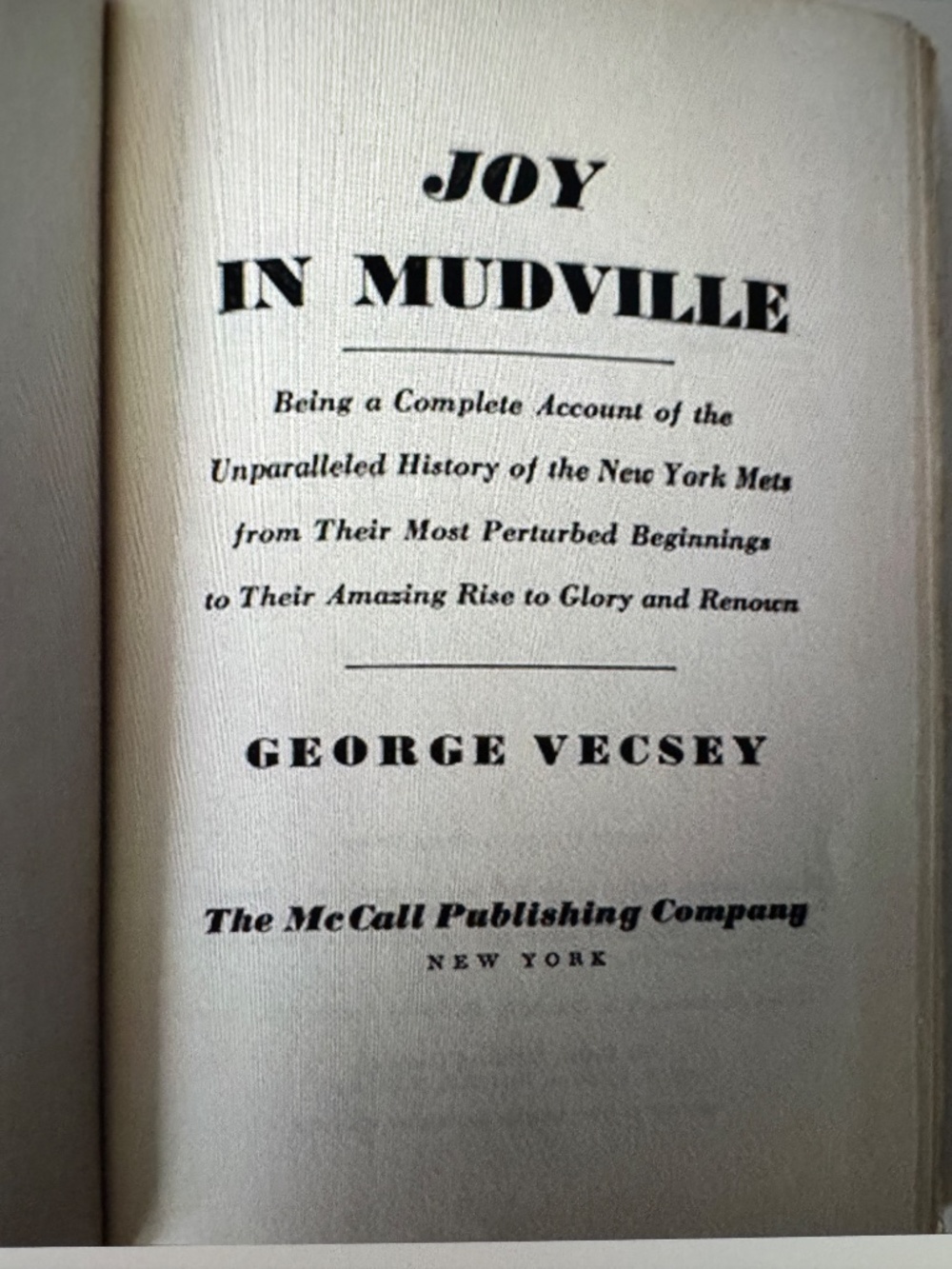Joy In Mudville - Picture 3 of 8
